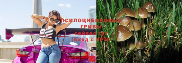 мяу мяу мука Балахна