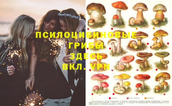 мяу мяу мука Балахна