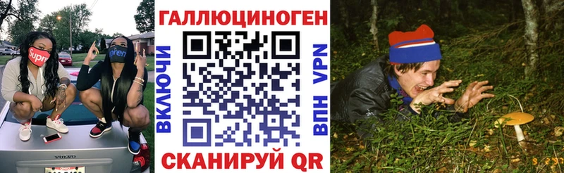 Псилоцибиновые грибы мухоморы  купить наркотики сайты  Курчалой 